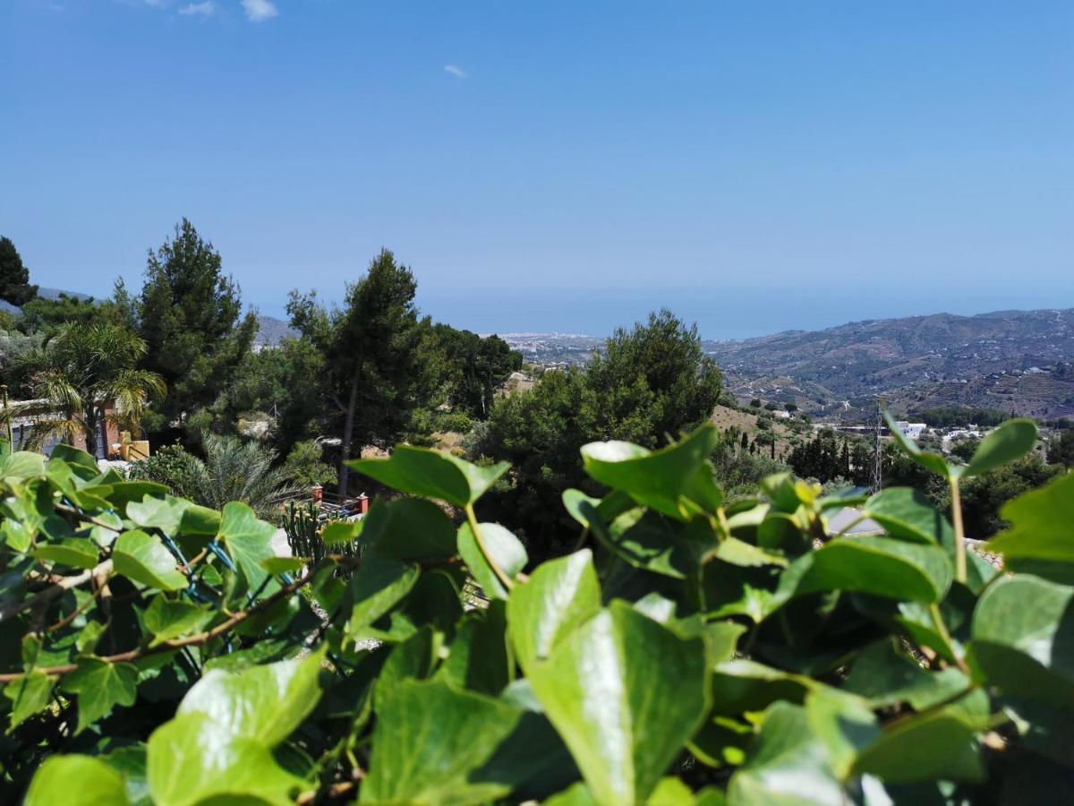 Casa Ayo Guest House Frigiliana Eksteriør bilde